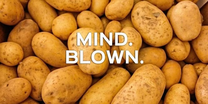 An Australian Inventor Has Found a Way to Turn Potatoes Into Cheese