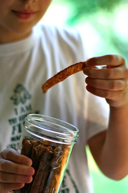 tofu-jerky