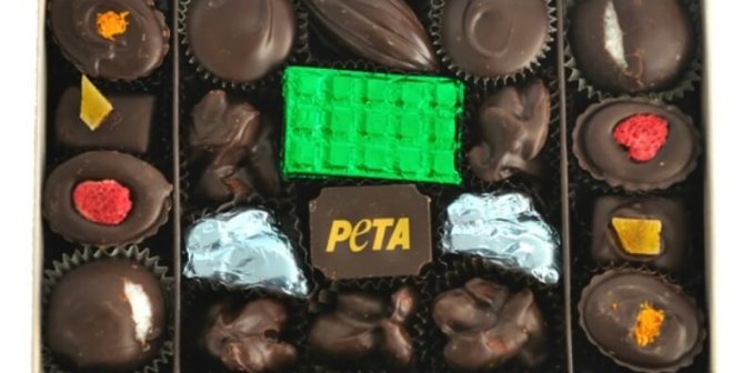 The Procrastinator’s Gift Guide to the Best (and Kindest) Vegan Gifts Under $100