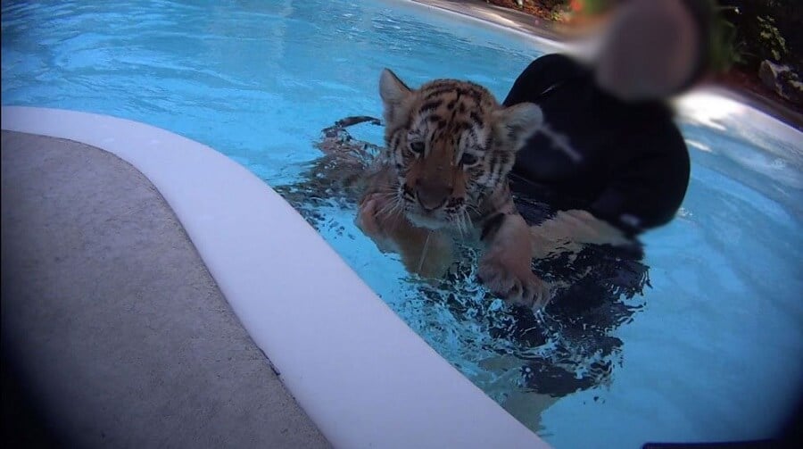 bindi-forced-to-swimblur-3