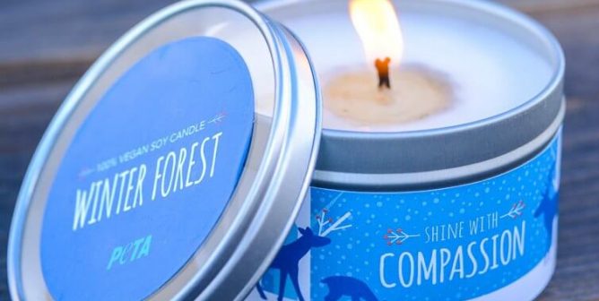 Your Holiday Shopping Guide: Cruelty-Free Gifts Under $25