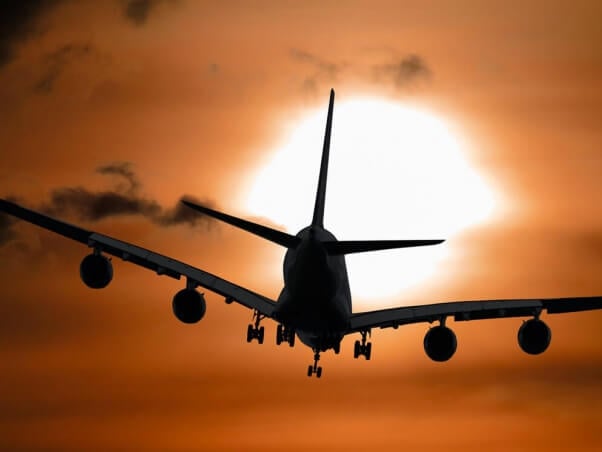 vegan airport survival guide and top travel tips from PETA with plane silhouette flying toward sun