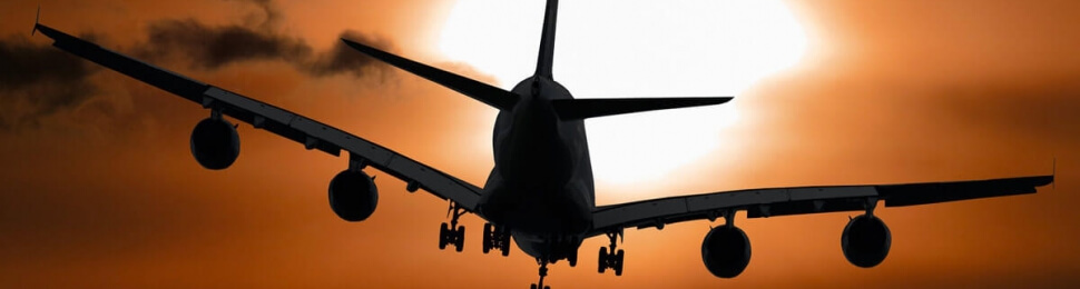 vegan airport survival guide and top travel tips from PETA with plane silhouette flying toward sun