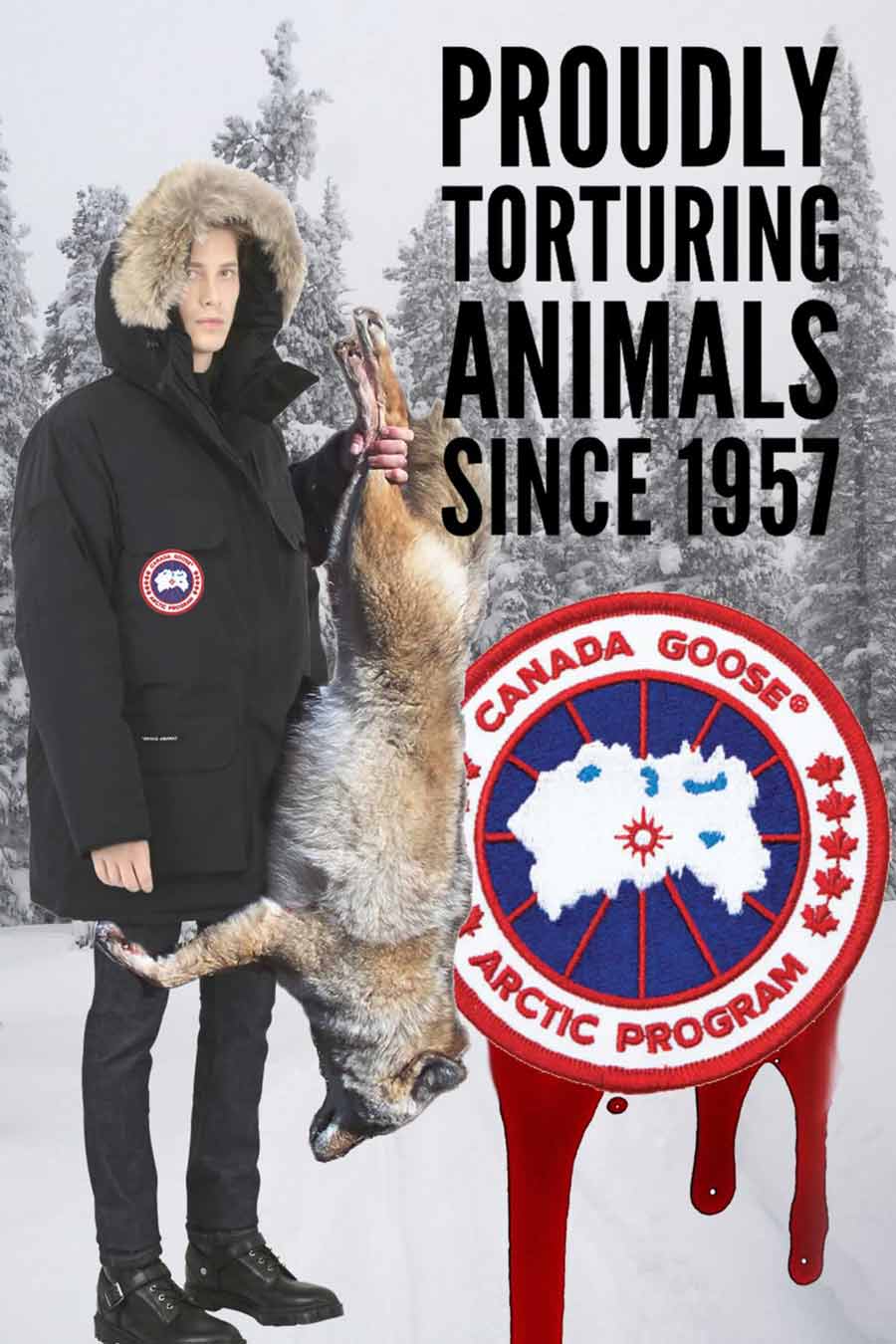 canada-goose-coyote-fur-cruelty