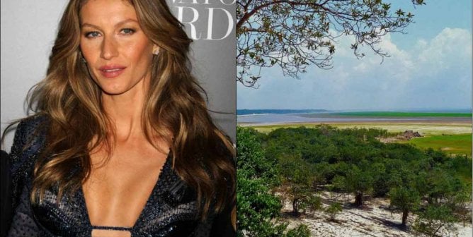 Gisele Bündchen Just Realized Where Burgers Come From …