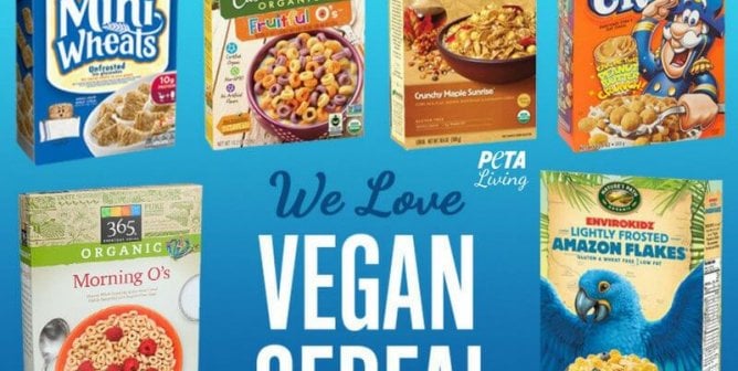 14 Vegan Cereal Options That Will Make You a Morning Person