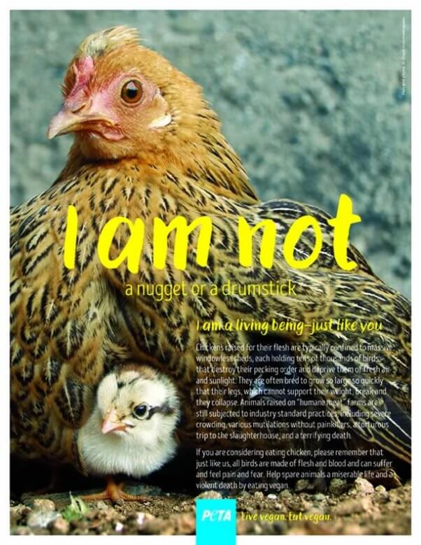 PETA