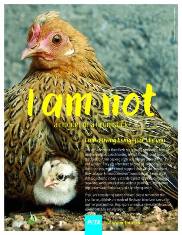 PETA's holiday campaign 2016 - "I Am Not..."