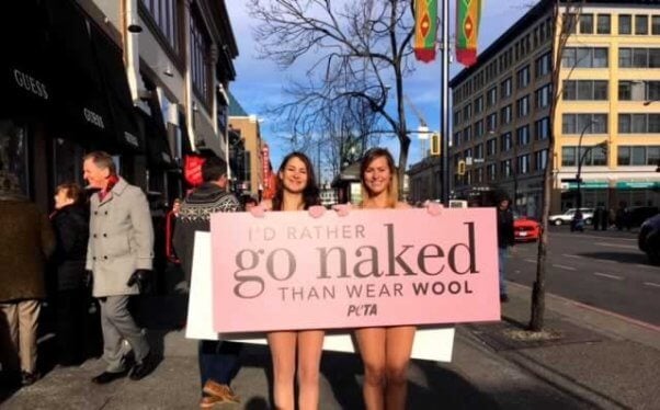 PETA anti-wool demo - "I'd Rather Go Naked..."