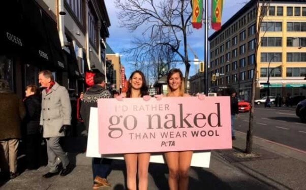 PETA anti-wool demo - "I