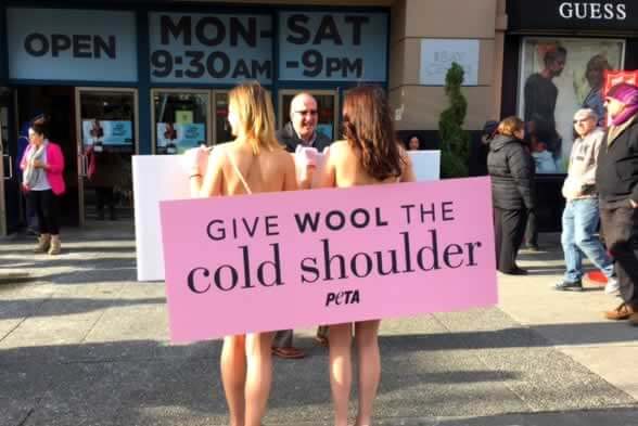 PETA anti-wool demo - "I
