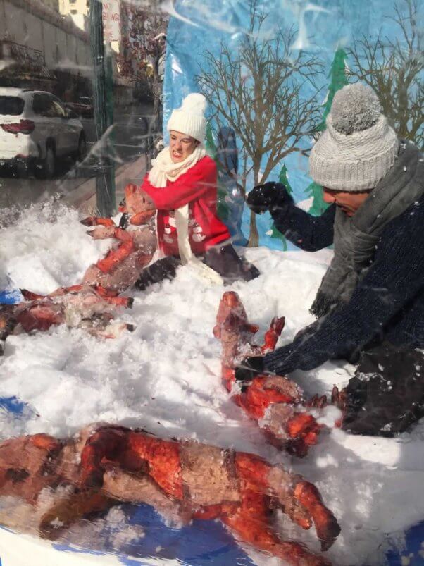 PETA anti-wool snow globe demo in Reno, NV