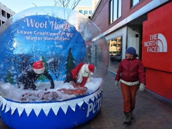 PETA anti-wool snow globe demo in Boise, ID