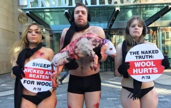 PETA Anti-Wool Protest in Boston, MA