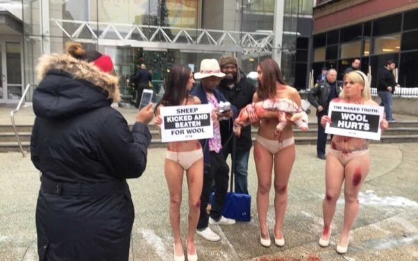 PETA anti-wool protest in Milwaukee