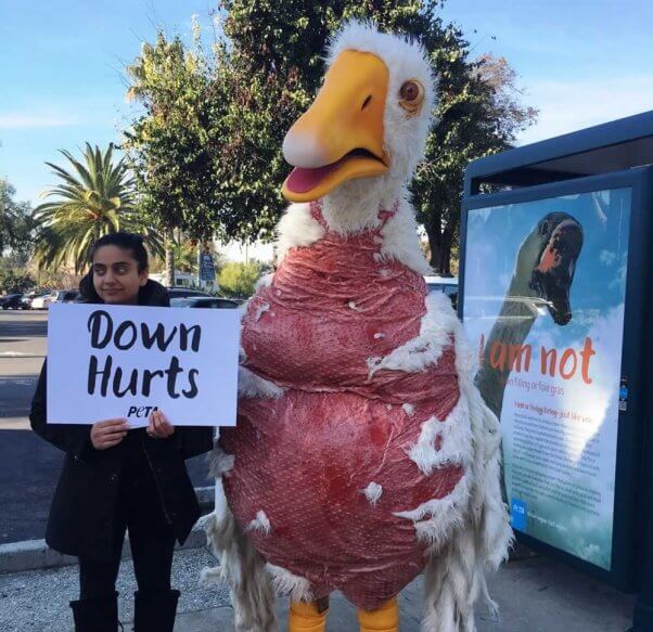 Costumed 'goose' and protester in front of "I am not..." ad