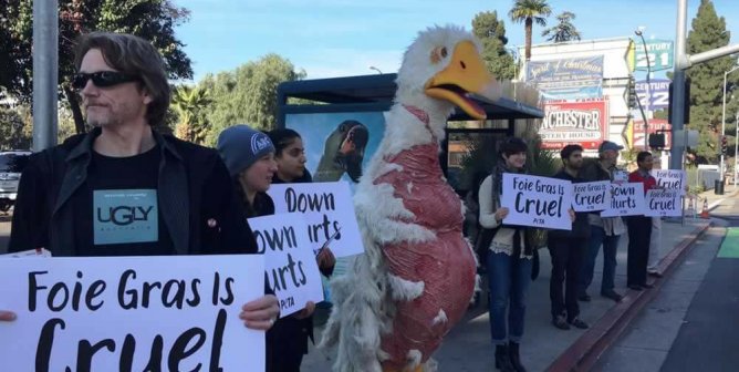 Costumed 'goose' and protesters in front of "I Am Not..." ad