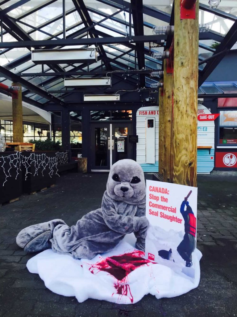 ‘Seal’ Makes a ‘Bloody’ Splash in Restaurant Protest PETA