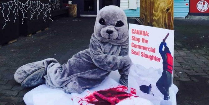 ‘Seal’ Makes a ‘Bloody’ Splash in Restaurant Protest