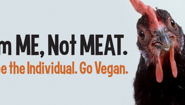 I’m Me, Not Meat (Chicken) (Horizontal)