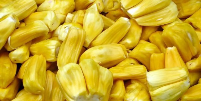What the Heck Is Jackfruit? 10 Reasons Why We Can’t Get Enough of This Tropical Fruit