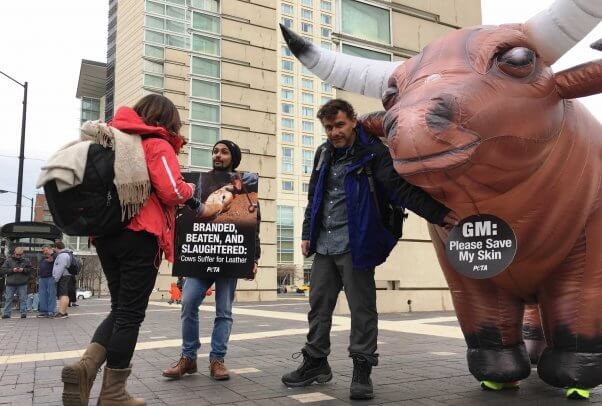 PETA supporters discussing cruelty of leather car seats with passersby