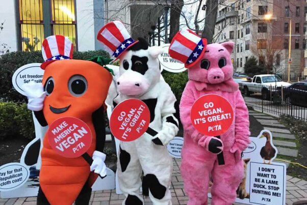 Cow, pig, and carrot mascots at 2017 inauguration