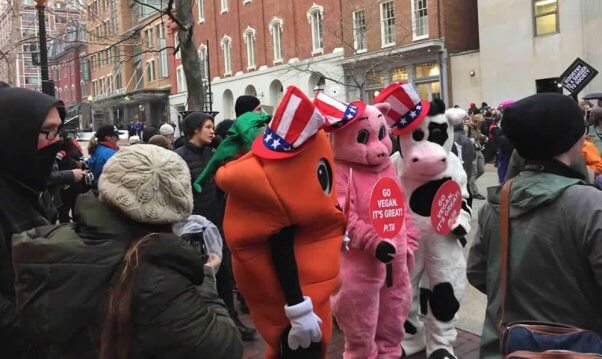 PETA mascots in parade for 2017 inauguration