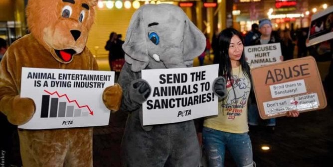 The Return of Ringling: How PETA Helped Shape the Circus’s Animal-Free Comeback