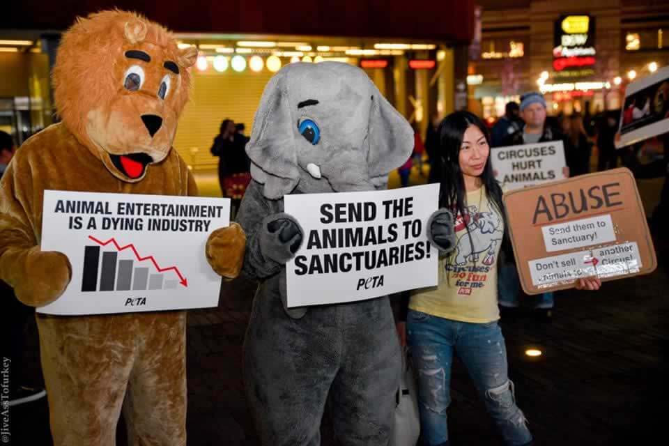 How PETA Took Down Circus Giant Ringling Bros. | PETA How PETA Took Down Circus Giant Ringling Bros. | PETA