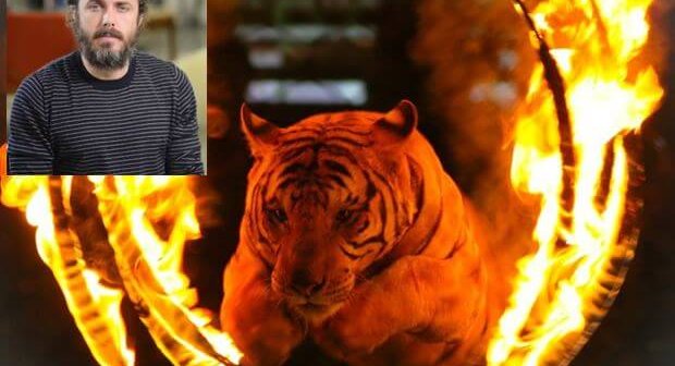 Tiger jumping through flaming ring with small image of Casey Affleck in corner