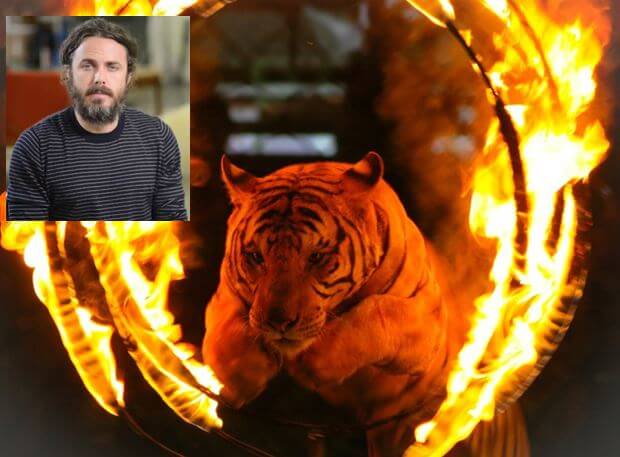 Casey Affleck: Animals' Spirits Broken by Circus Abuse Casey Affleck: Animals' Spirits Broken by Circus Abuse