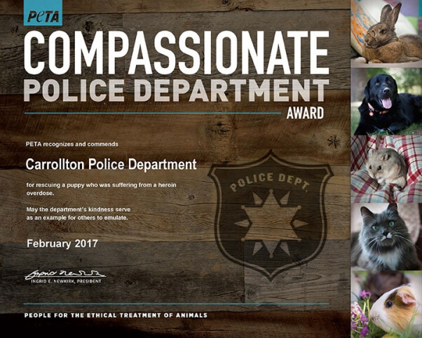 puppy heroin overdose rescue nets compassion award for TX police