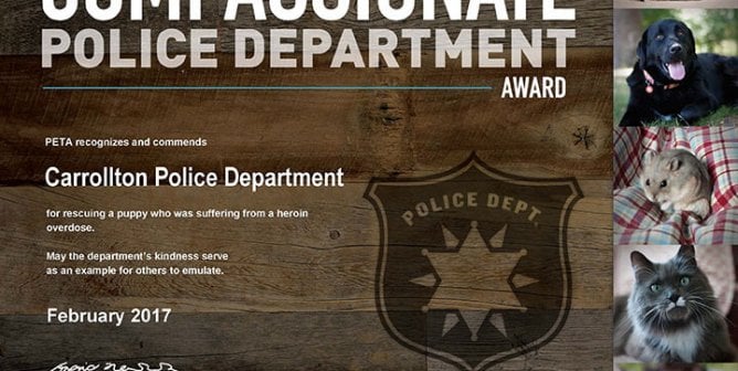 puppy heroin overdose rescue nets compassion award for TX police