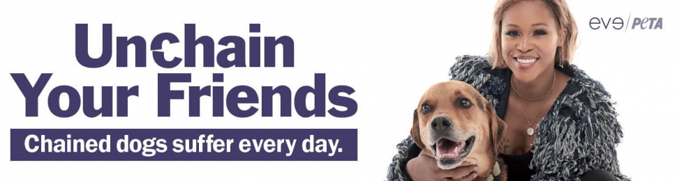 Eve: Unchain Your Friends