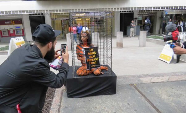 Man photographing PETA supported bodypainted as 'tiger'