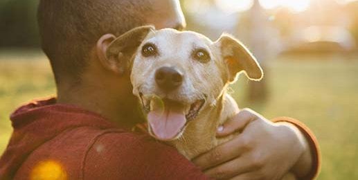 man holding happy dog