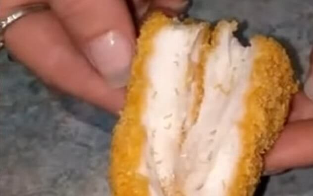 ‘Chick Maggot’: Australian Woman Finds Wriggling Larvae in Chicken Tender