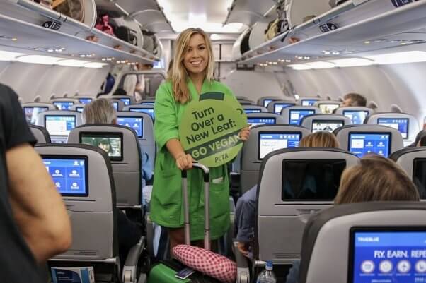 now boarding: lettuce ladies cuba trip is underway