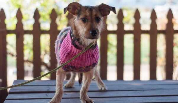 Bridgette in pink sweater on porch