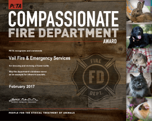 Compassionate Fire Department Award to Vail Fire & Emergency Services