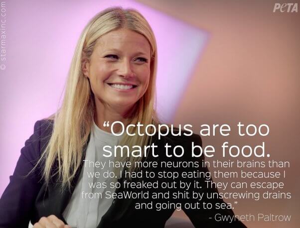 Gwyneth Paltrow, octopus intell