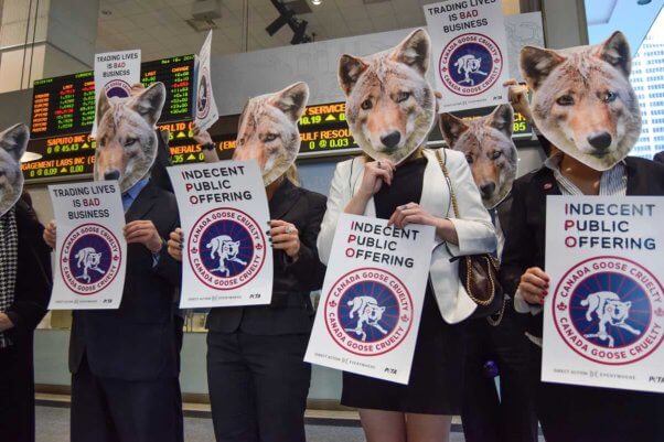 Activists in coyote masks hold signs protesting Canada Goose at its IPO in Toronto