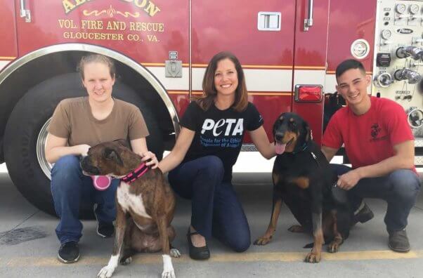 Compassionate Fire Dept Award given to Aingdon Fire Dept. for rescuing two dogs