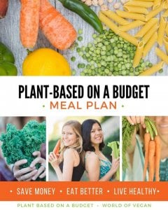 new vegan cookbook about meal planning