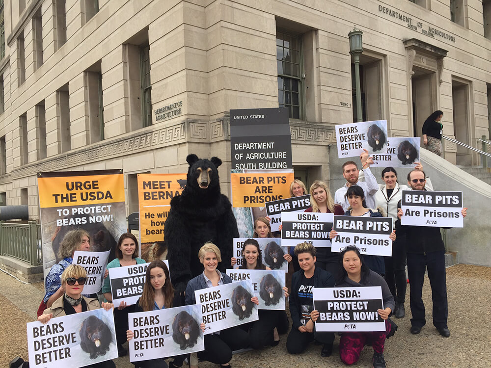 Casey AffleckVoiced Animatronic Bear to Ask Feds to Close Cruel Roadside Zoos PETA