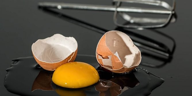 How Are Hens Treated for ‘Cage-Free,’ ‘Free-Range,’ and ‘Organic’ Eggs?