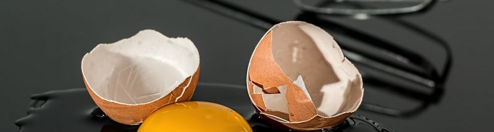 Broken or Cracked Egg with Yolk Spilling