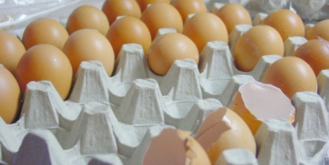 Eating Just 3 Eggs a Week Is a Death Wish, New Study Confirms