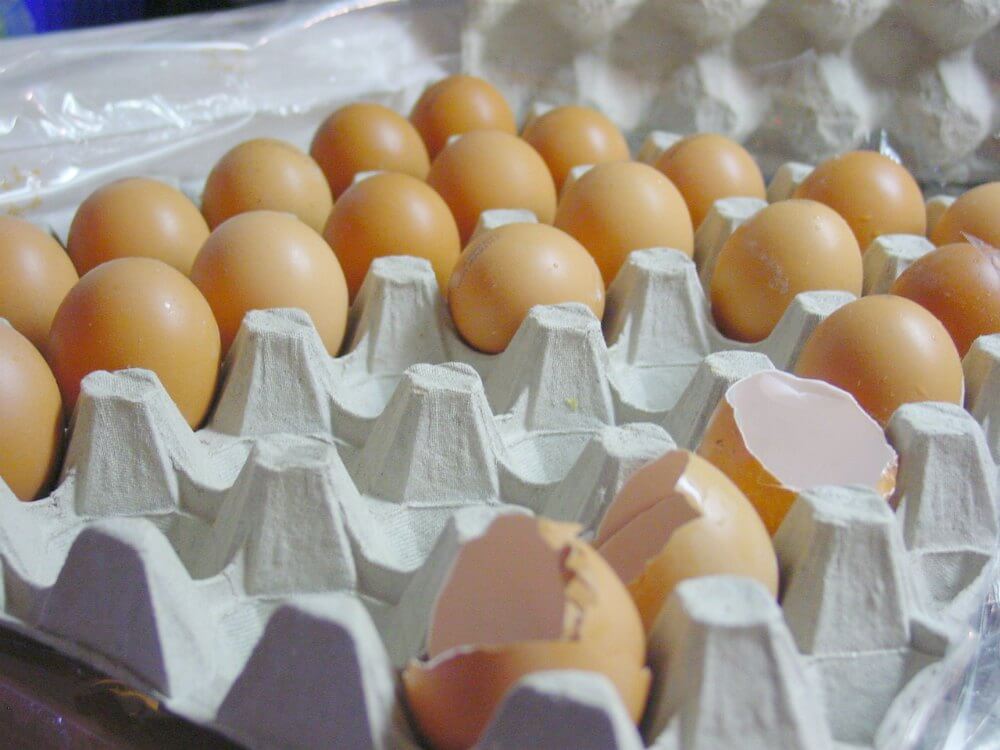 New Study: Eating 3 Eggs a Week Can Kill You | PETA